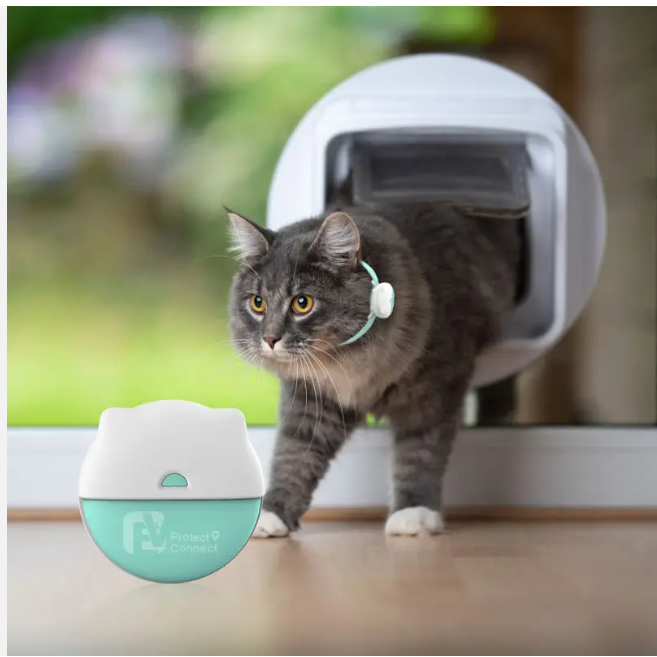📍GPS Tracker voor Katten met Activiteitenmonitor – Veiligheid en Gezondheid in Één - Safari Paws