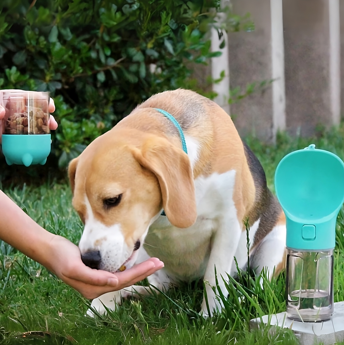 3 in 1 veldfles voor hond of kat met snacktank en drinkbak 500 ml water/100 ml snacktank - Safari Paws