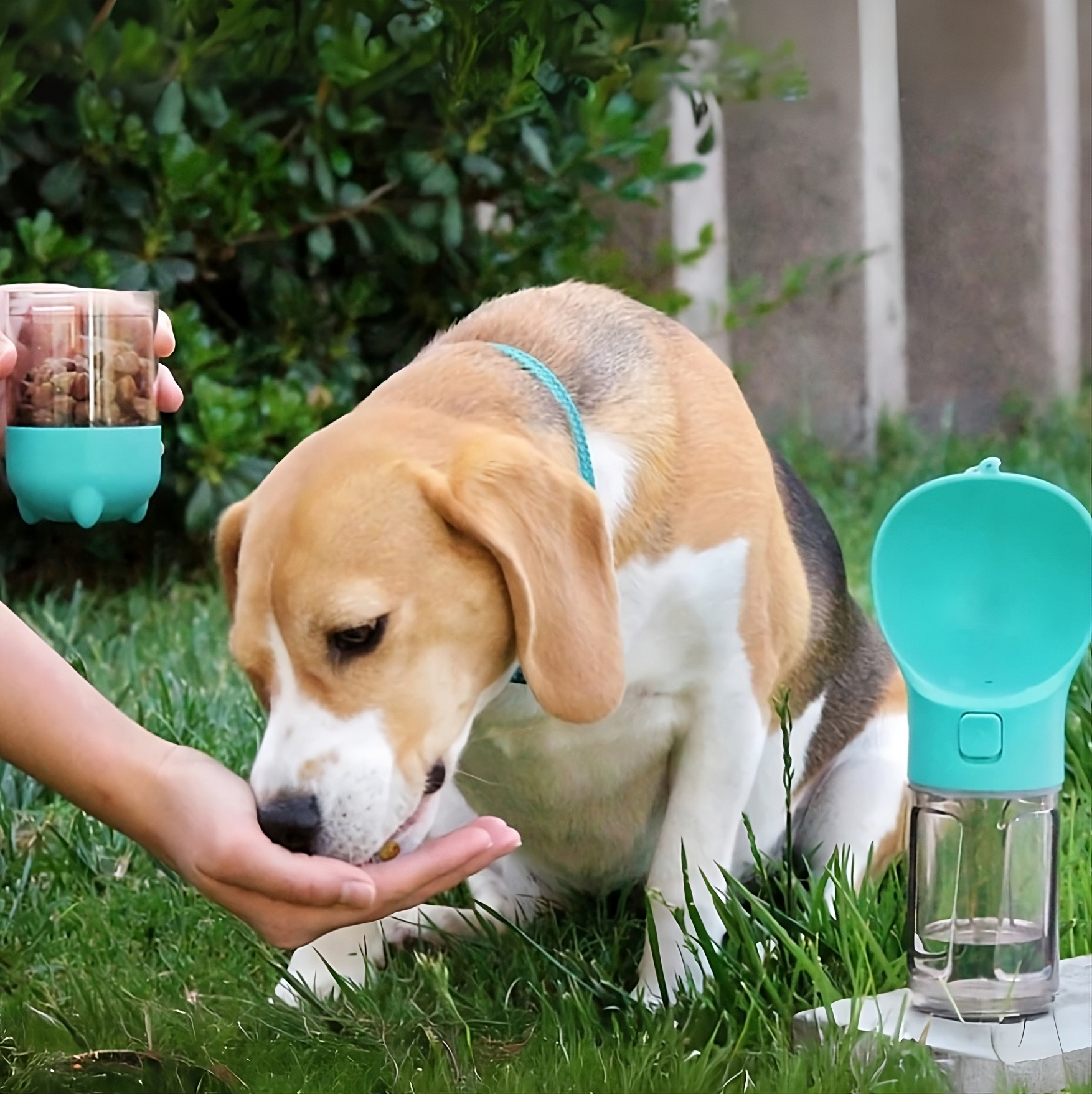 3 in 1 veldfles voor hond of kat met snacktank en drinkbak 500 ml water/100 ml snacktank - Safari Paws