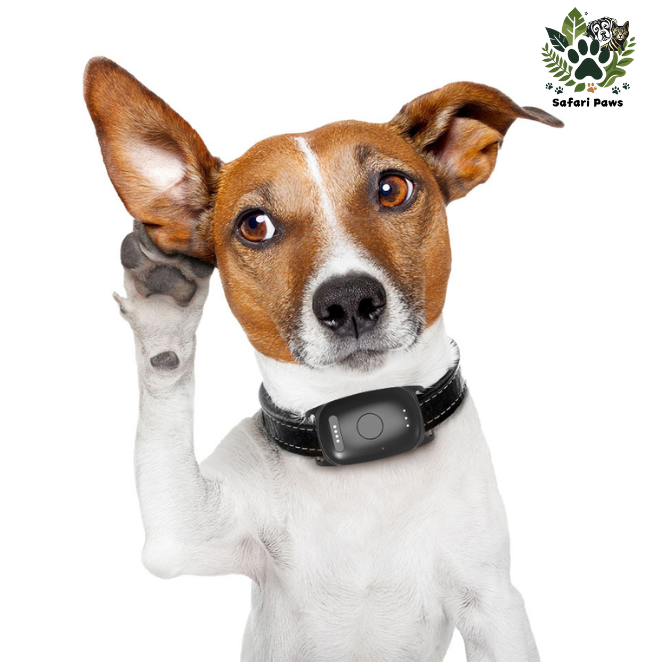 📍GPS Tracker voor Honden met Activiteitsmonitor - Veiligheid en Gezondheid in Één - Safari Paws