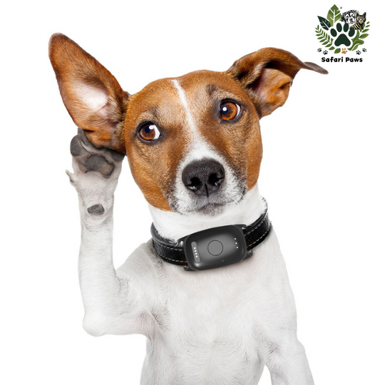 📍GPS Tracker voor Honden met Activiteitsmonitor - Veiligheid en Gezondheid in Één - Safari Paws