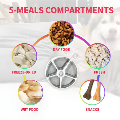 🐱🍽️🕒Automatische Voerbak voor Honden en Katten – Slimme 5-Maaltijden Voerdispenser met Timer - Safari Paws