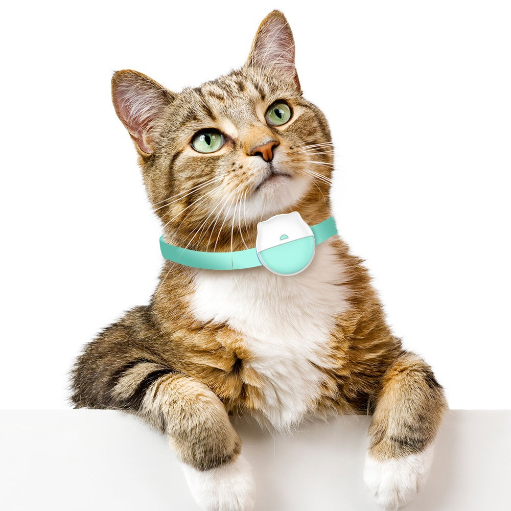 📍GPS Tracker voor Katten met Activiteitenmonitor – Veiligheid en Gezondheid in Één - Safari Paws