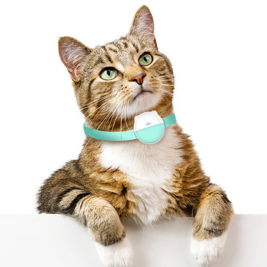 📍GPS Tracker voor Katten met Activiteitenmonitor – Veiligheid en Gezondheid in Één - Safari Paws