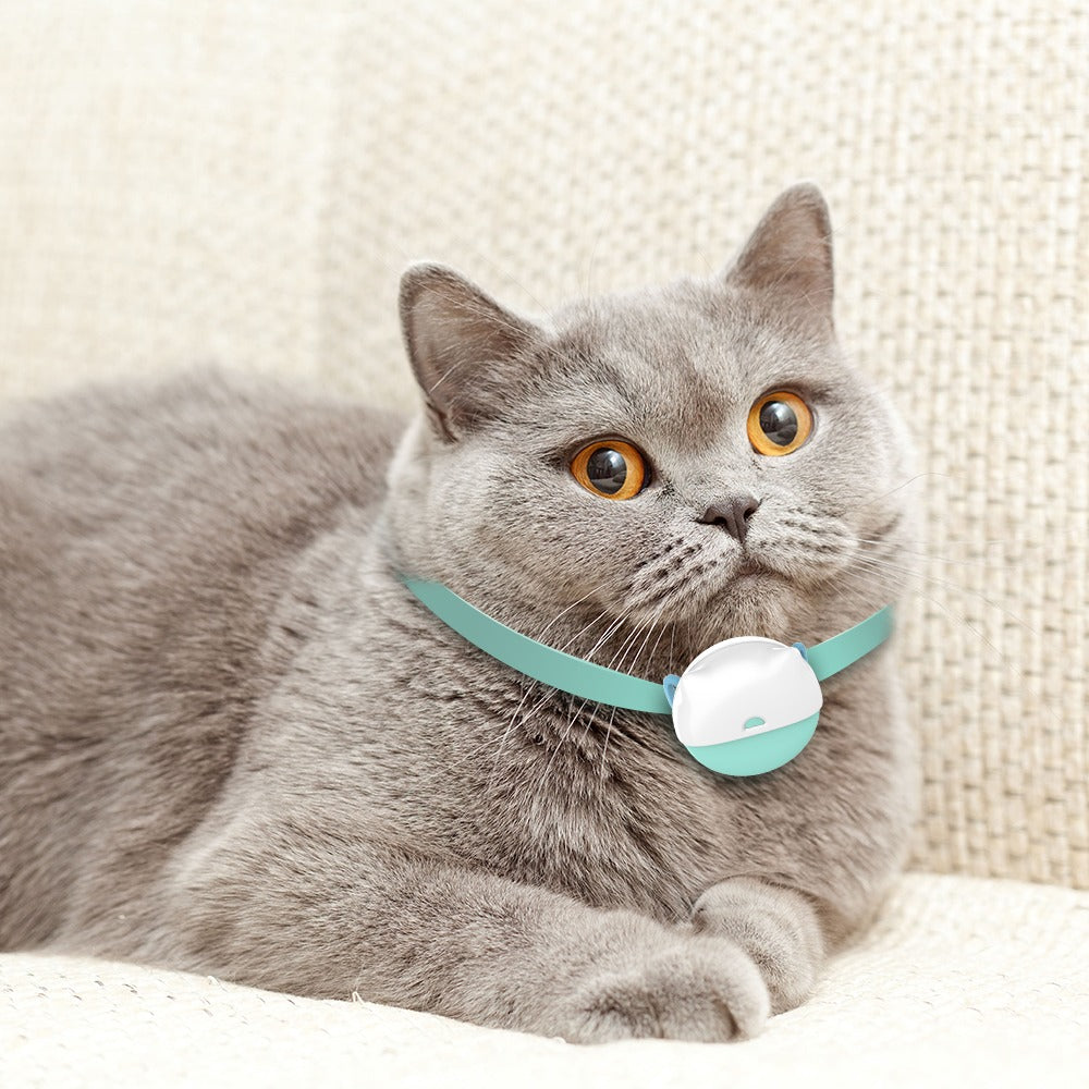 📍GPS Tracker voor Katten met Activiteitenmonitor – Veiligheid en Gezondheid in Één - Safari Paws