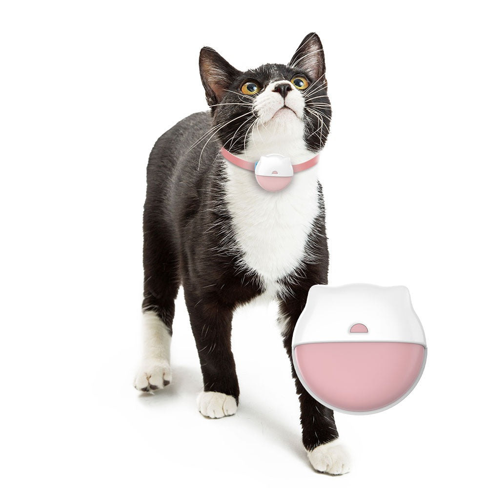 📍GPS Tracker voor Katten met Activiteitenmonitor – Veiligheid en Gezondheid in Één - Safari Paws