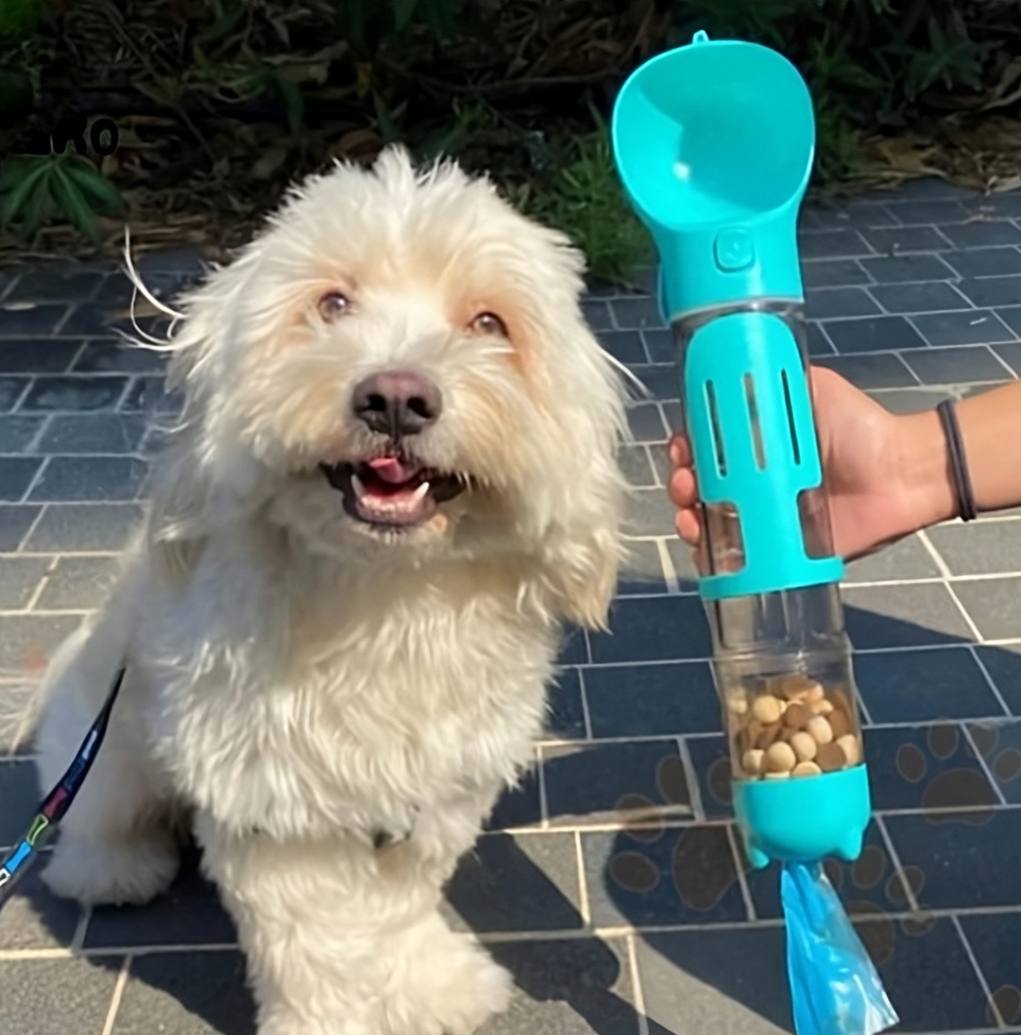 3 in 1 veldfles voor hond of kat met snacktank en drinkbak 500 ml water/100 ml snacktank - Safari Paws