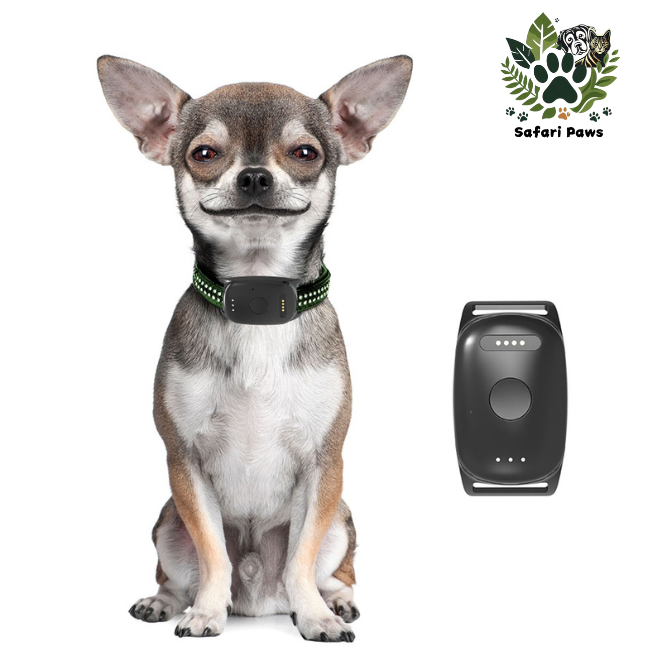 📍GPS Tracker voor Honden met Activiteitsmonitor - Veiligheid en Gezondheid in Één - Safari Paws
