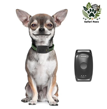 📍GPS Tracker voor Honden met Activiteitsmonitor - Veiligheid en Gezondheid in Één - Safari Paws