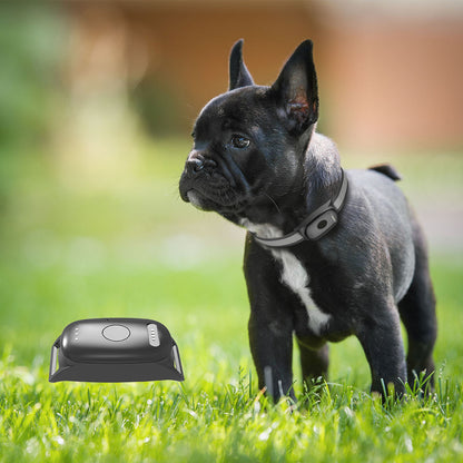 📍GPS Tracker voor Honden met Activiteitsmonitor - Veiligheid en Gezondheid in Één - Safari Paws