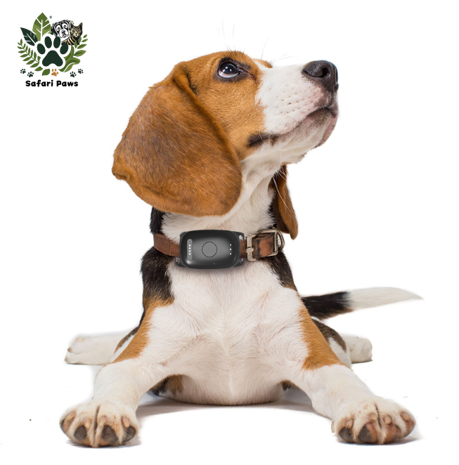 📍GPS Tracker voor Honden met Activiteitsmonitor - Veiligheid en Gezondheid in Één - Safari Paws