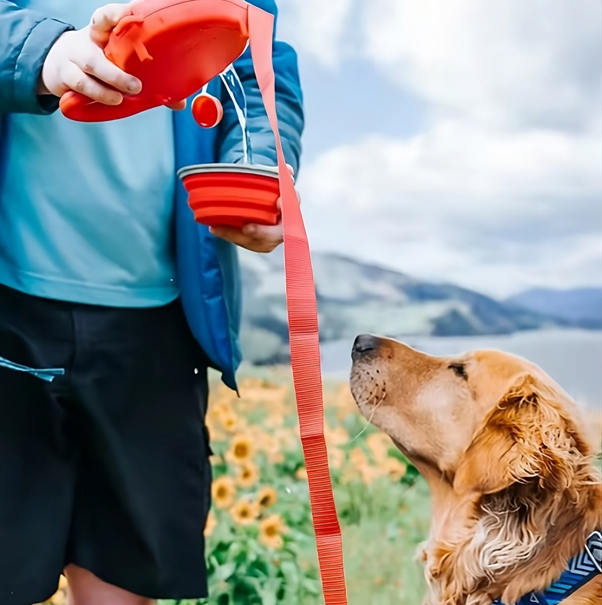Multifunctionele Hondenriem met Geïntegreerde Waterfles en Opvouwbare Voerbak – Perfect voor Wandelen met Honden - Safari Paws