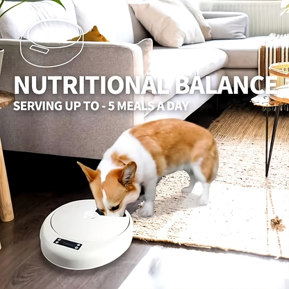 🐱🍽️🕒Automatische Voerbak voor Honden en Katten – Slimme 5-Maaltijden Voerdispenser met Timer - Safari Paws